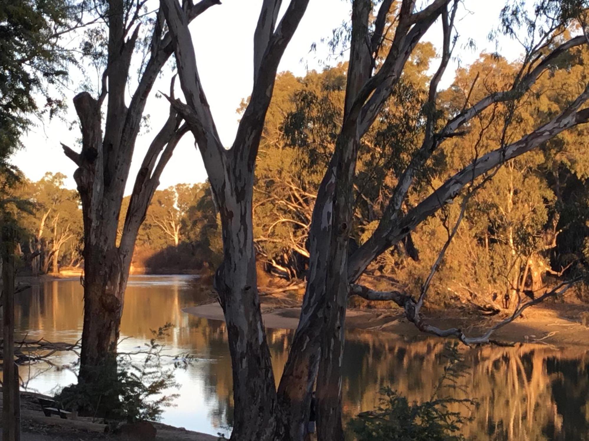 Deniliquin Riverside Caravan Park Ngoại thất bức ảnh