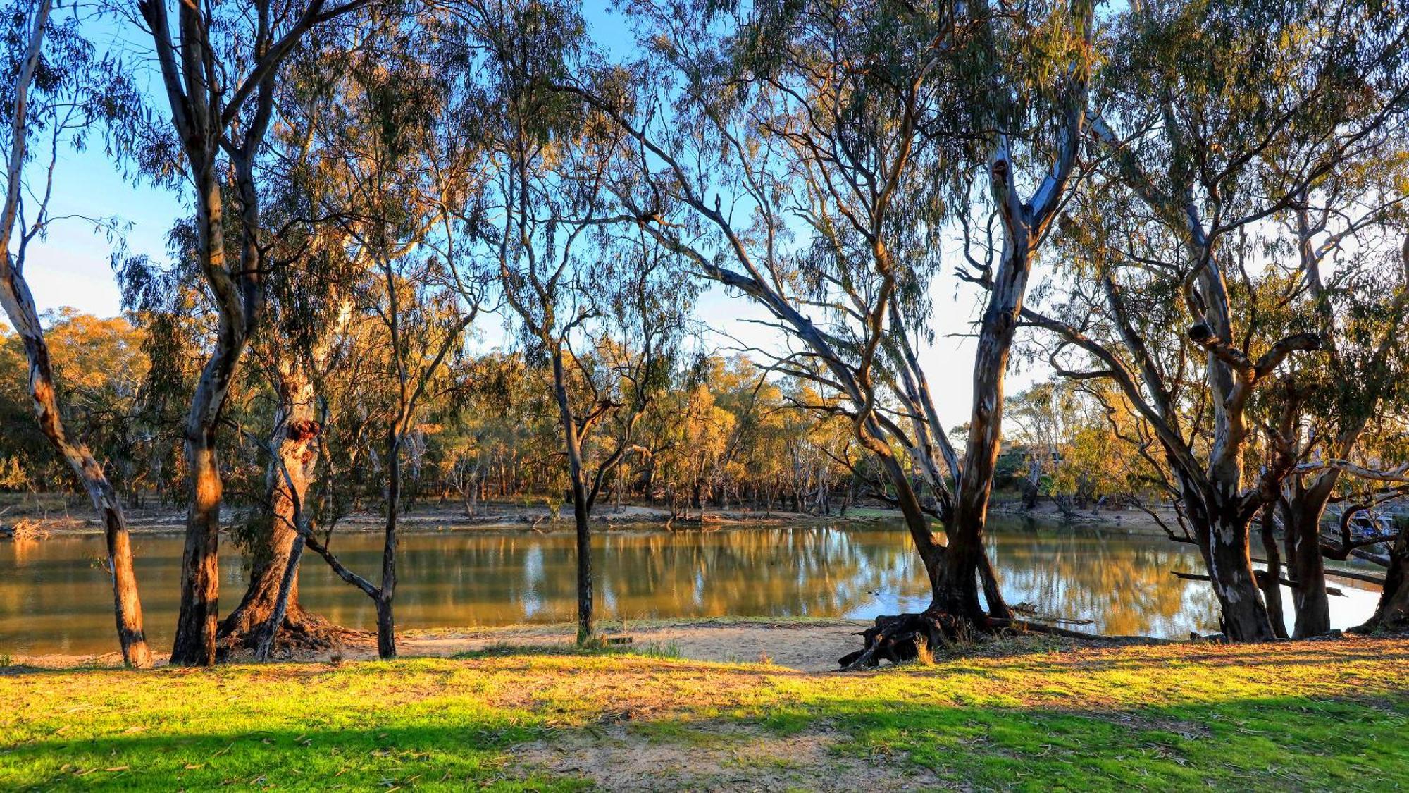 Deniliquin Riverside Caravan Park Ngoại thất bức ảnh