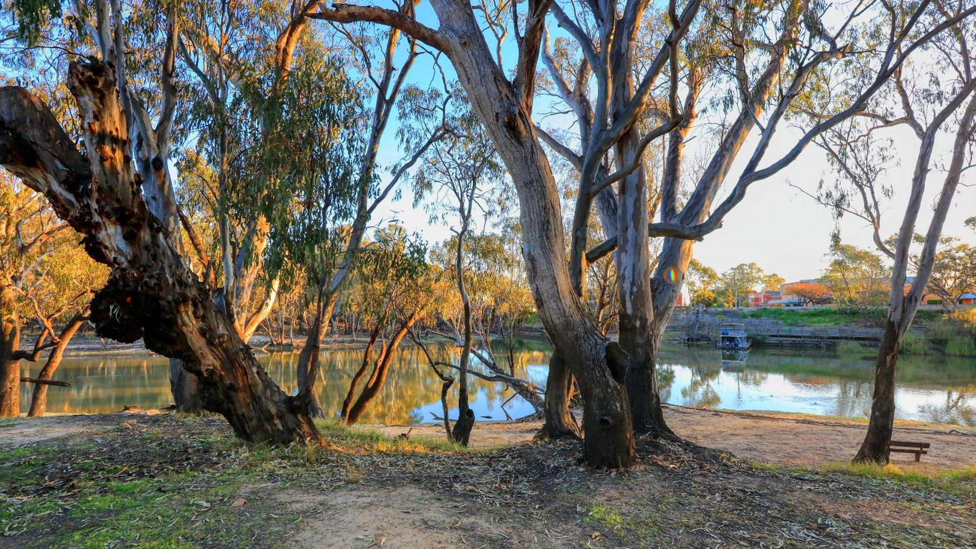 Deniliquin Riverside Caravan Park Ngoại thất bức ảnh