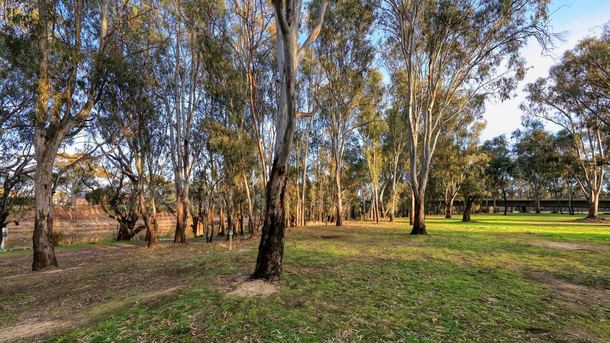 Deniliquin Riverside Caravan Park Ngoại thất bức ảnh